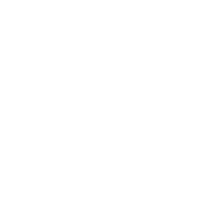06 06