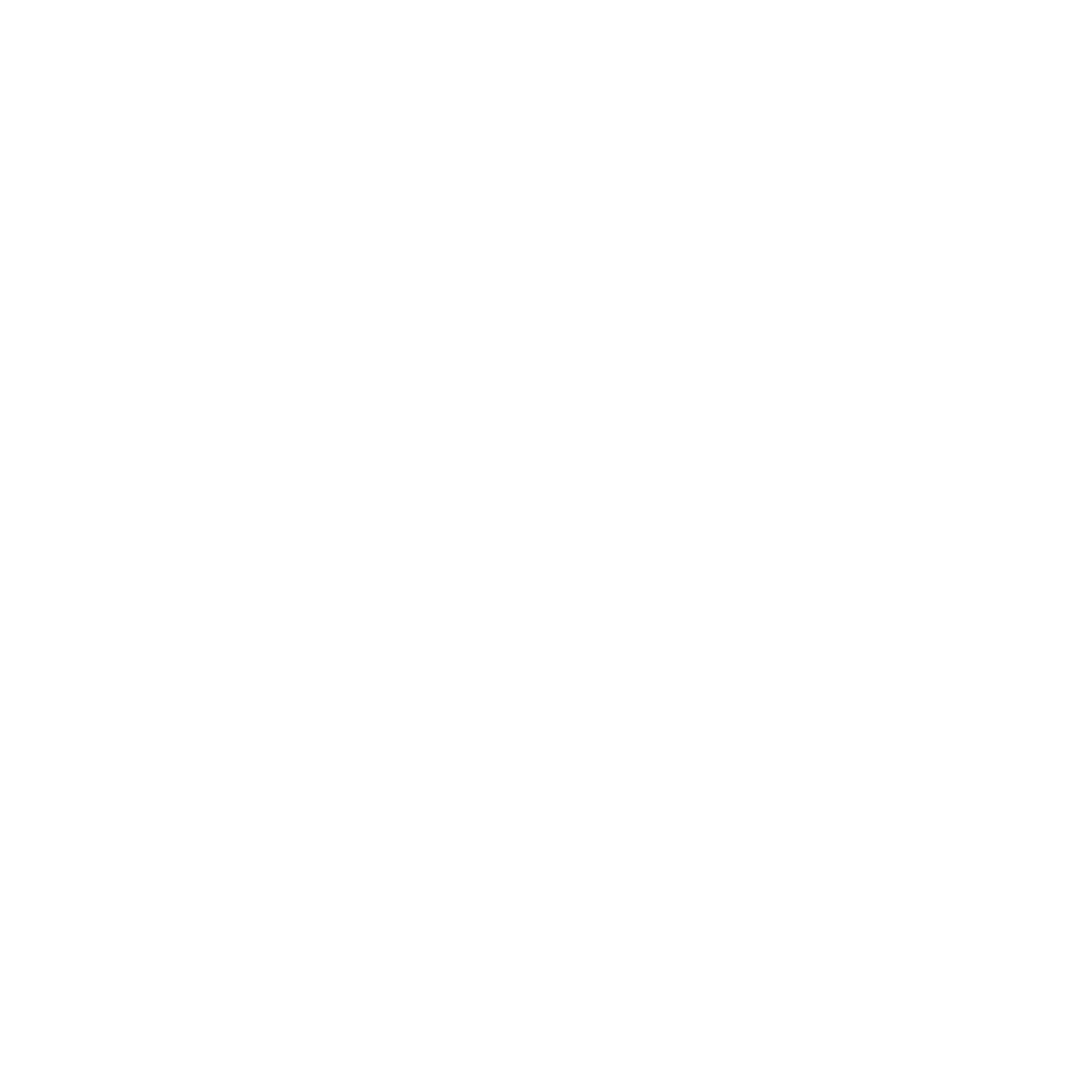 logo_api logo_api